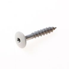 KLEURKOPSCHROEF RVS A2 BEIGE 4.8 X 32MM