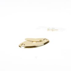 SLEUTELPLAATJE KP 501B VOOR DSG 5000 EN DSKG 6000-SERIE MESSING 0160.220.5501
