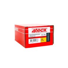 4TECX SPAANPLAATSCHROEF ELVZ PK TORX 6.0 X 110MM (100ST)