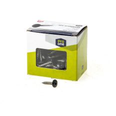 KLEURKOPSCHROEF RVS 4,8X25 R7016 ANTRAC (100)