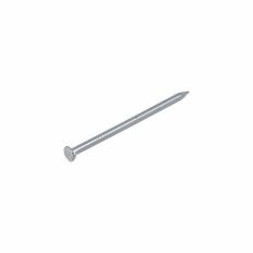 HOMEFIX DRAADNAGEL VZ PK 2.7X55 (100GR)
