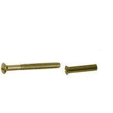 KELFORT PATENTROZET BOUT MESSING MET HULS M4 X 38MM