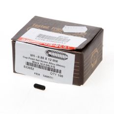 STELSCHROEF BINNENZESKANT KRATEREIND VERZINKT M5 X 12MM