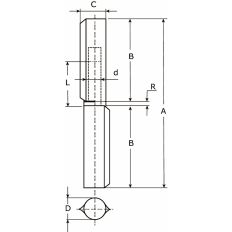AANLASPAUMELLE STALEN PEN 80X13 MM HOOGWAARDIGE KWALITEIT