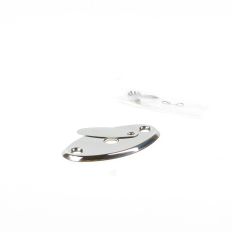 SLEUTELPLAATJE KP 500B VOOR DSG 5000 EN DSKG 6000-SERIE RVS 0160.220.5500