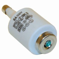 10A ZEKERING DII SNEL (DS A 5ST)
